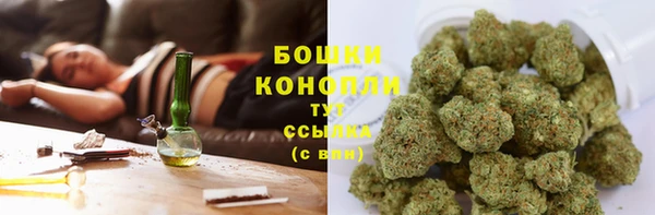 дурь Елабуга
