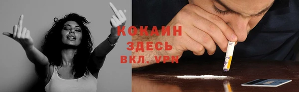 метадон Ельня