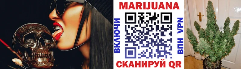 Купить  Тбилисская  Канабис семена